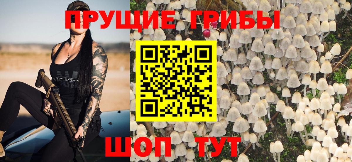 Галлюциногенные грибы MAGIC MUSHROOMS Павлово