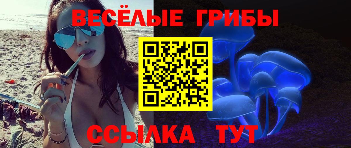 Псилоцибиновые грибы Cubensis  Псилоцибиновые грибы Cubensis  Павлово  Вход с VPN 